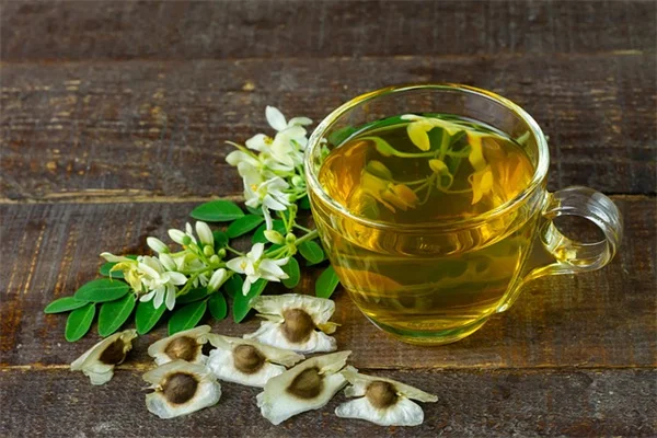 種子の発芽を効率化！プロが教える成功率を上げる5つの方法